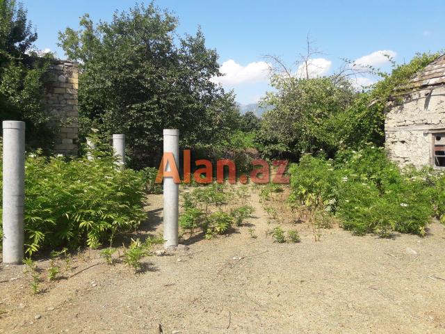 İsmayıllıda torpaq sahəsi