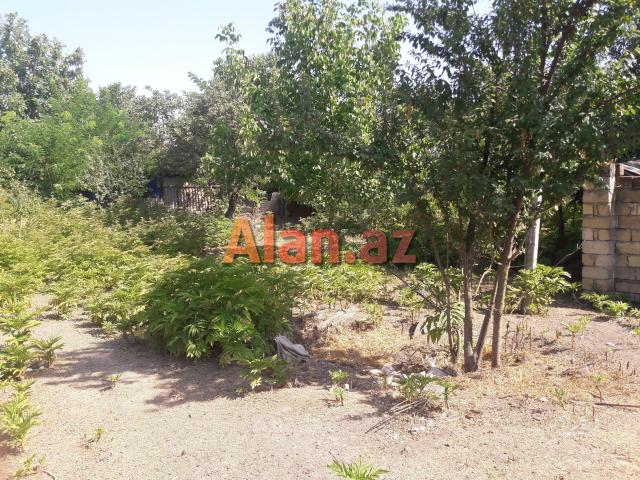 İsmayıllıda torpaq sahəsi