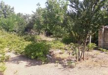 İsmayıllıda torpaq sahəsi