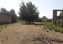 İsmayıllıda torpaq sahəsi