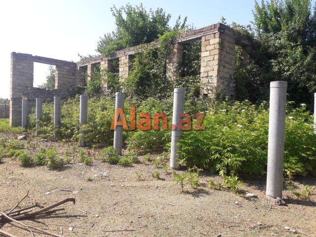 İsmayıllıda torpaq sahəsi