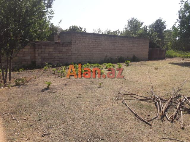 İsmayıllıda torpaq sahəsi