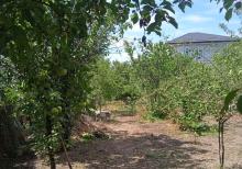 Qusarda həyət evi satılır