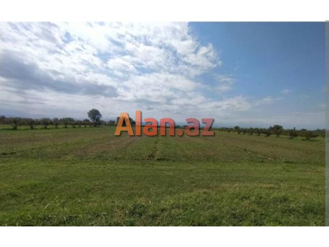 Xızı rayonu gilezi qesebesi