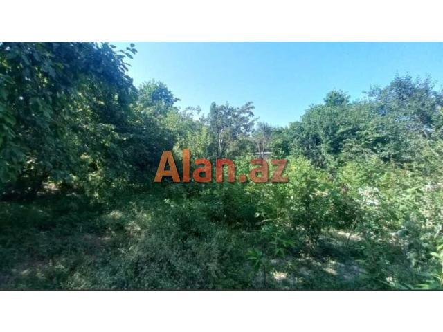 Həyət evi satılır