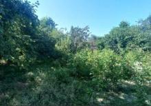 Həyət evi satılır