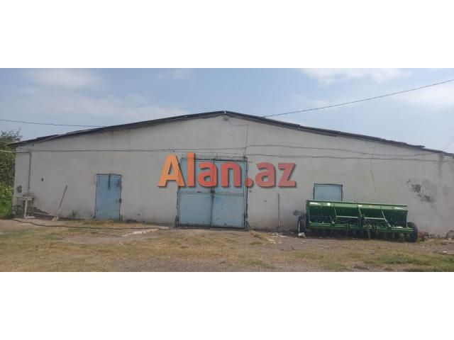 Təcili Ferma Satılır. Bərdə rayonu.