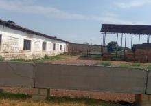 Təcili Ferma Satılır. Bərdə rayonu.