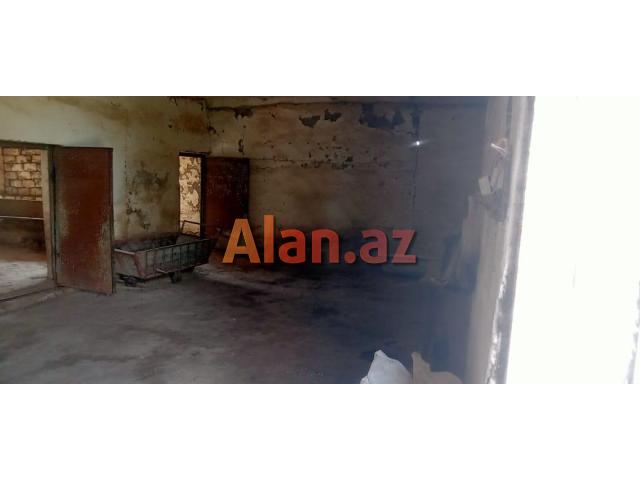 Təcili Ferma Satılır. Bərdə rayonu.