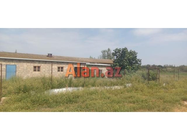 Təcili Ferma Satılır. Bərdə rayonu.