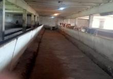 Təcili Ferma Satılır. Bərdə rayonu.