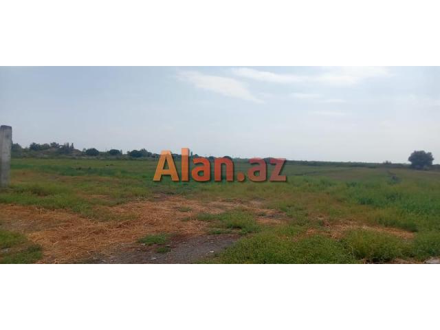 Təcili Ferma Satılır. Bərdə rayonu.