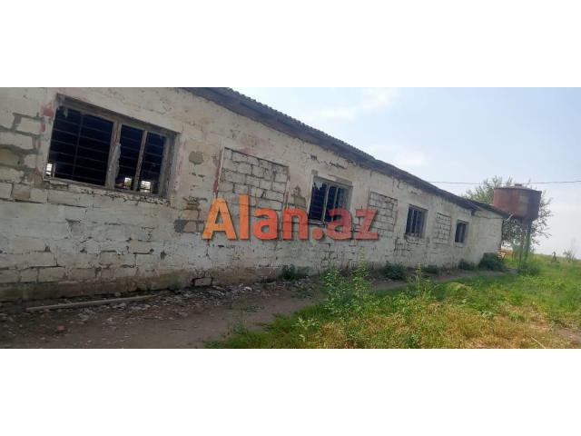 Təcili Ferma Satılır. Bərdə rayonu.