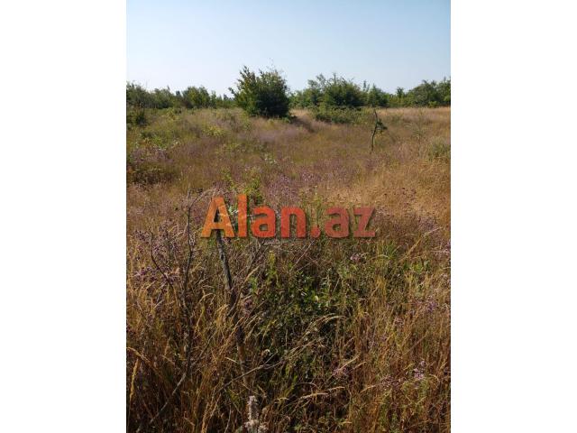Qusar rayonu balaqusar kəndinde torpaq
