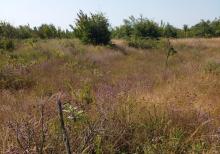 Qusar rayonu balaqusar kəndinde torpaq