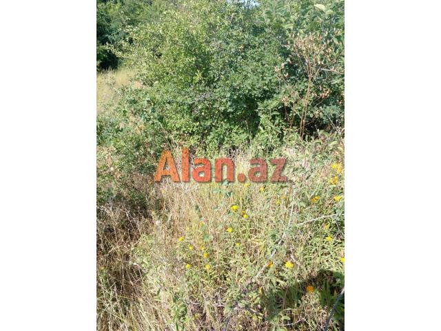 Qusar rayonu balaqusar kəndinde torpaq