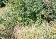 Qusar rayonu balaqusar kəndinde torpaq