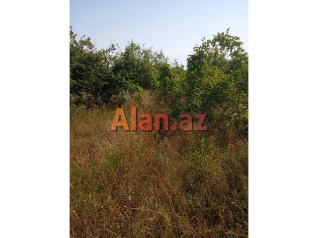 Qusar rayonu balaqusar kəndinde torpaq