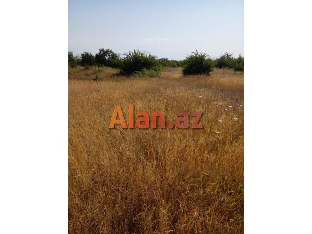 Qusar rayonu balaqusar kəndinde torpaq