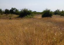 Qusar rayonu balaqusar kəndinde torpaq