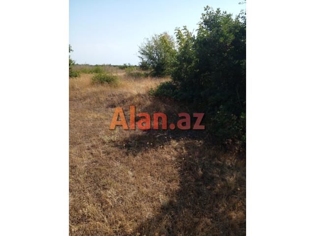 Qusar rayonu balaqusar kəndinde torpaq