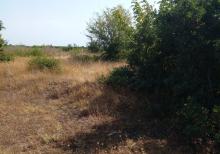 Qusar rayonu balaqusar kəndinde torpaq