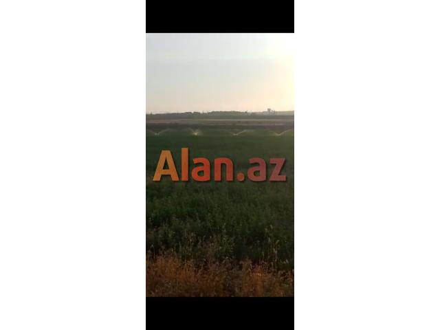 Ferma və torpaq sahəsi