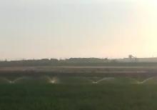 Ferma və torpaq sahəsi