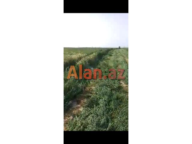 Ferma və torpaq sahəsi