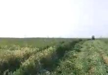 Ferma və torpaq sahəsi