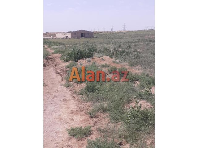 Ferma və torpaq sahəsi