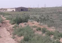 Ferma və torpaq sahəsi