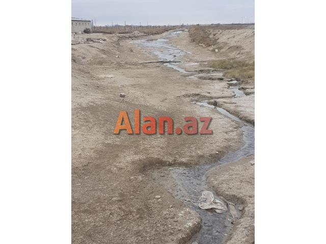 Ferma və torpaq sahəsi