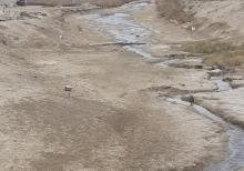 Ferma və torpaq sahəsi