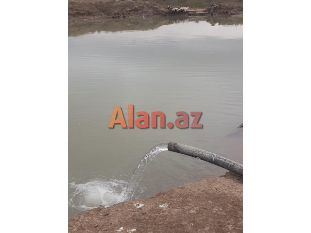 Ferma və torpaq sahəsi