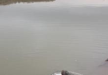 Ferma və torpaq sahəsi