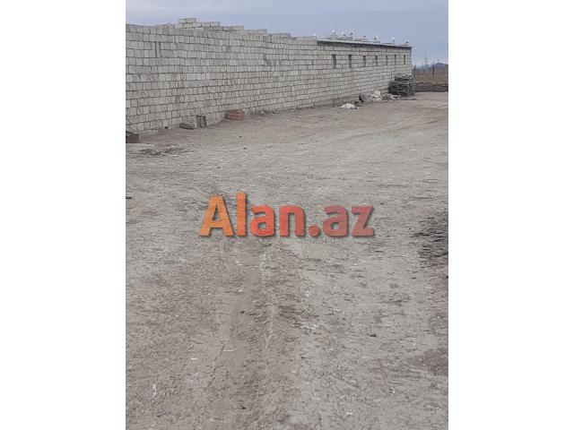 Ferma və torpaq sahəsi