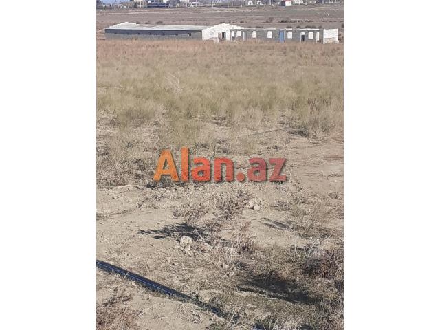 Ferma və torpaq sahəsi