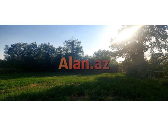 Qəbələ Rayon Daşca Kəndi