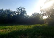 Qəbələ Rayon Daşca Kəndi