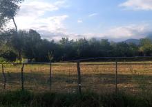 Qəbələ Rayon Daşca Kəndi