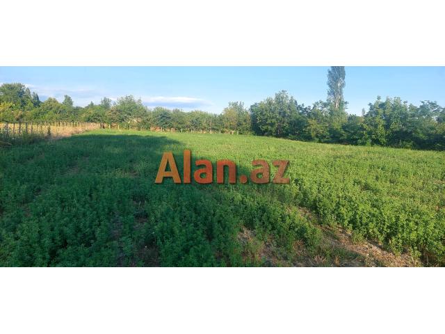 Qəbələ Rayon Daşca Kəndi