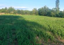 Qəbələ Rayon Daşca Kəndi