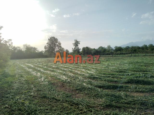 Qəbələ Rayon Daşca Kəndi