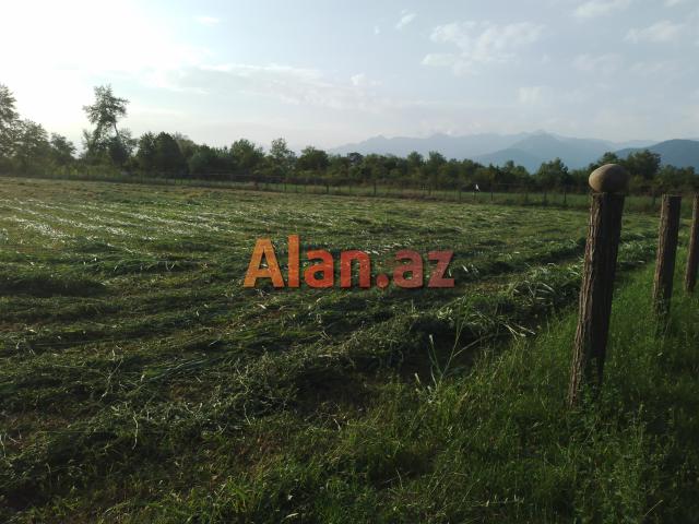 Qəbələ Rayon Daşca Kəndi