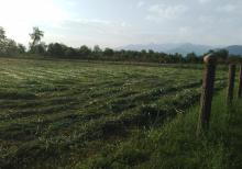 Qəbələ Rayon Daşca Kəndi