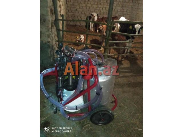 Süt sağan aparat işlənməmiş