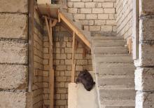 tecili 2 mertebeli heyet evi