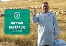 Baytar həkimi işi Axtarıram