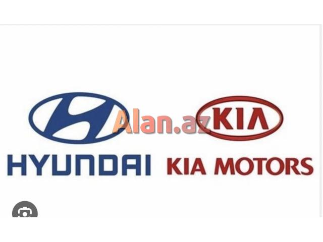 Mercedes Hyundaı Kia